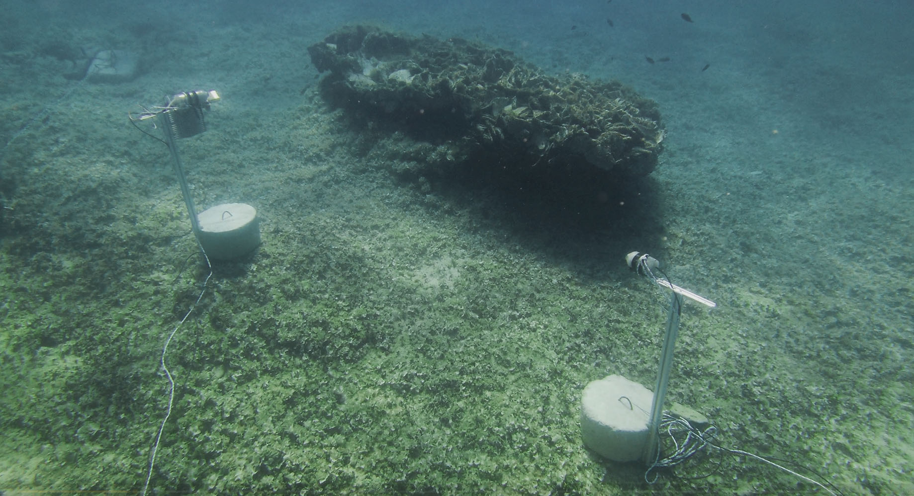INSITU monitoring system