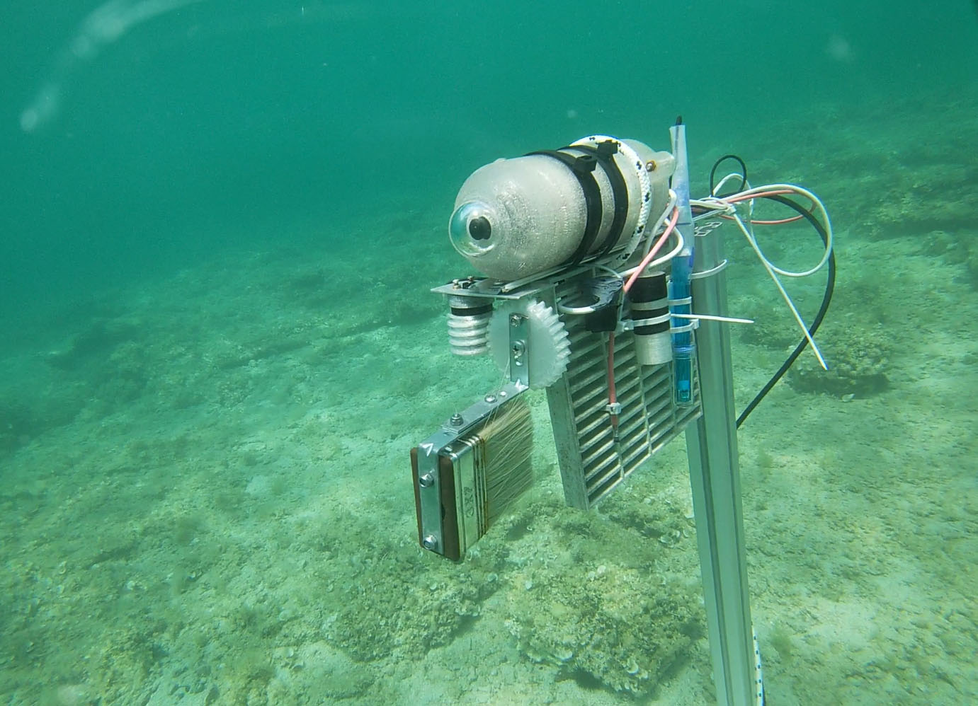 INSITU monitoring system