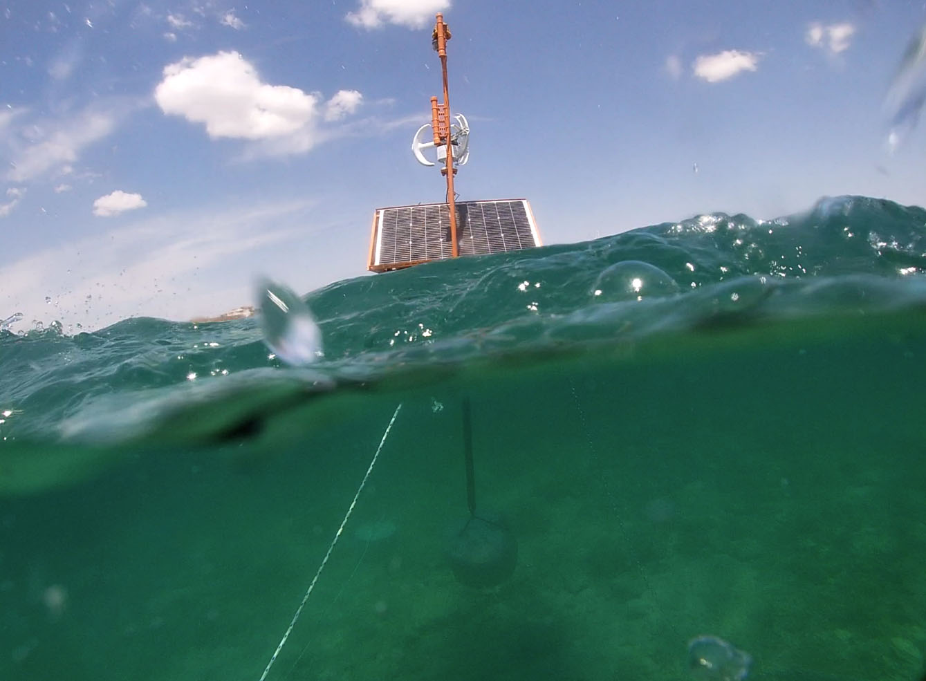 INSITU monitoring system
